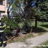 poz2025_041