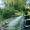 poz2025_046